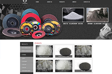 企業(yè)展示網站建設